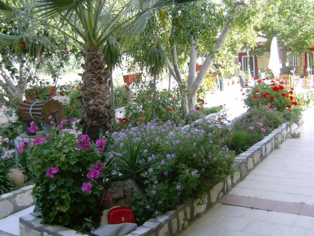 Villa Costas - Popi Sívas Exteriér fotografie
